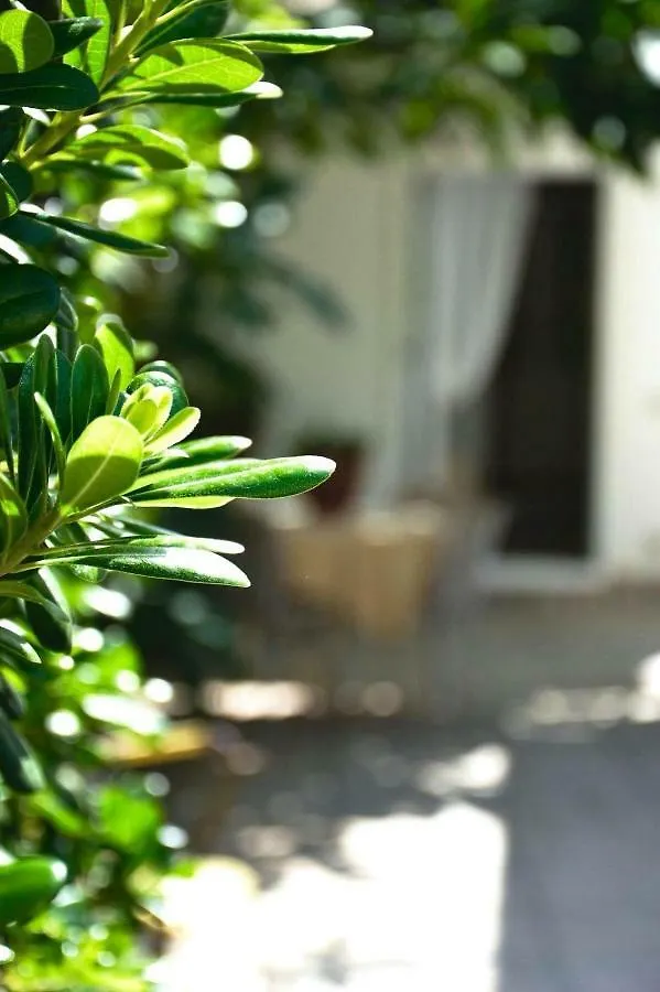 Affittacamere Hotel Green House Beach Mondello