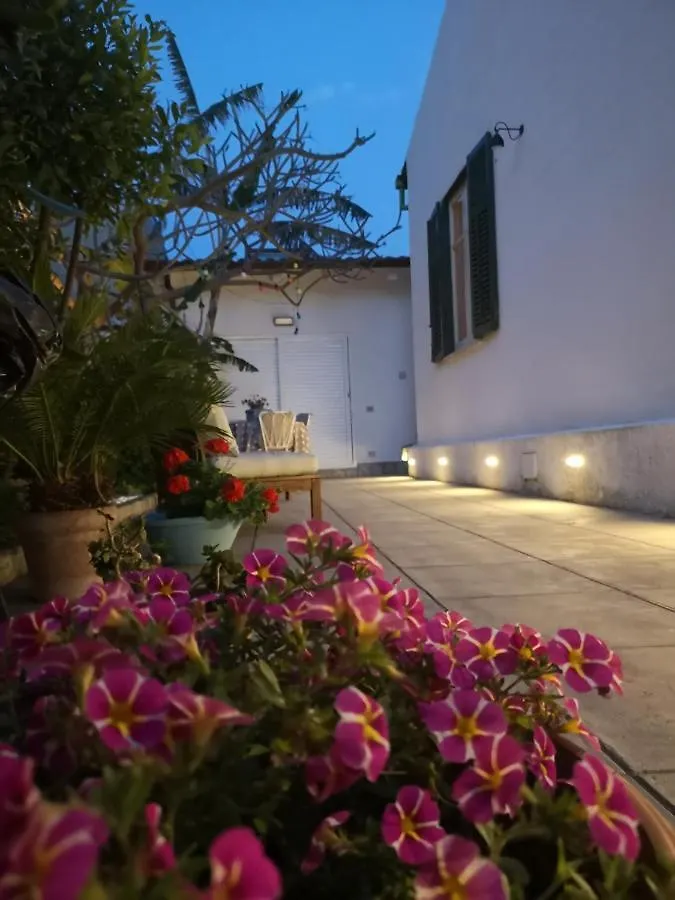Hotel Green House Beach Mondello Italia